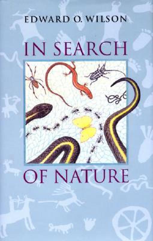 【预售】In Search of Nature: Recasting Disaster Policy and