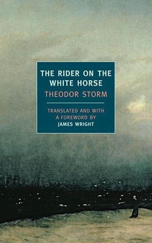 【预售】the rider on the white horse: and selected stories