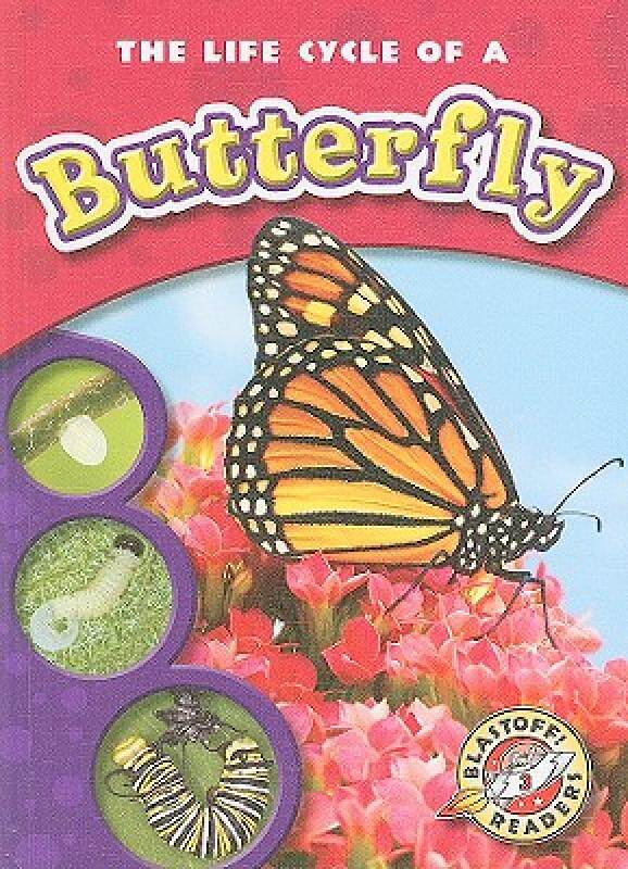 【预售】the life cycle of a butterfly