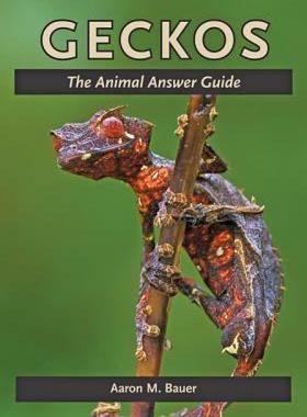 【预售】Geckos: The Animal Answer Guide