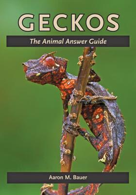 【预售】Geckos: The Animal Answer Guide