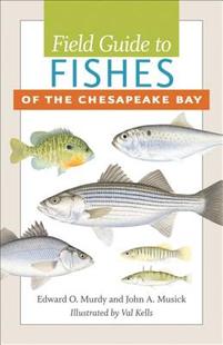 Guide Chesapeake 预售 Bay the Field Fishes