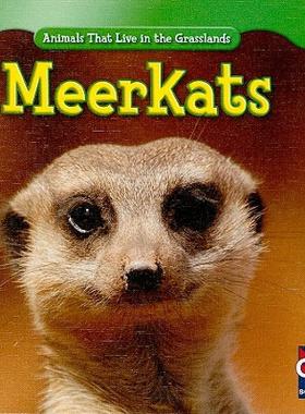 【预售】Meerkats