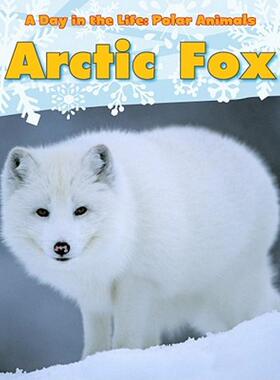 【预售】Arctic Fox