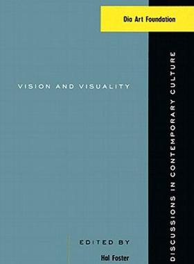 【预售】Vision and Visuality