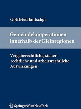 【预售】Gemeindekooperationen Innerhalb Der Kleinregionen: