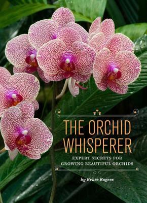 【预售】The Orchid Whisperer: Expert Secrets for Growing
