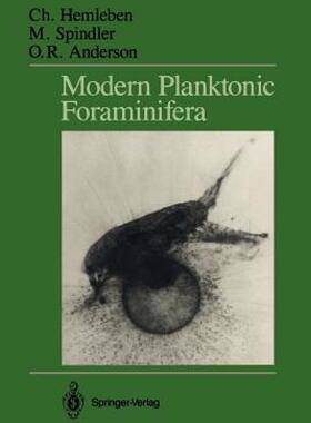 【预售】Modern Planktonic Foraminifera
