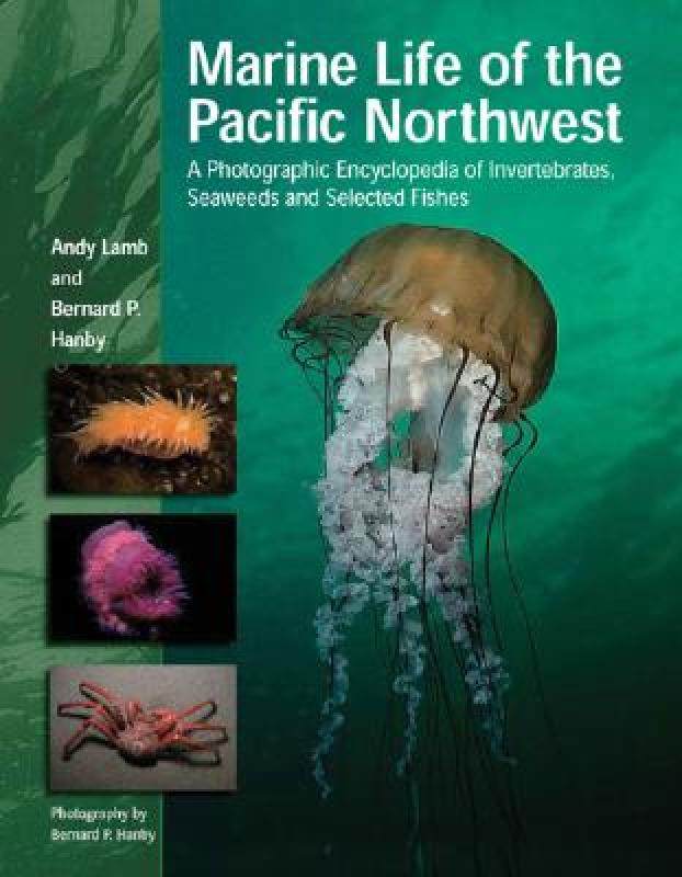 【预售】marine life of the pacific northwest: a photographic