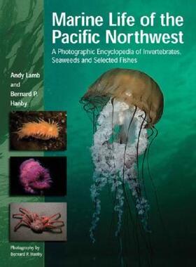 【预售】Marine Life of the Pacific Northwest: A Photographic