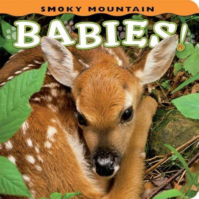 【预售】Smoky Mountain Babies!
