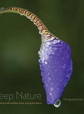 【预售】Deep Nature: Photographs from Iowa