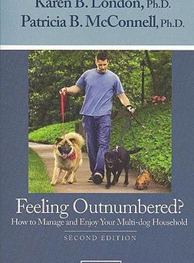 【预售】Feeling Outnumbered?: How to Manage and Enjoy Your