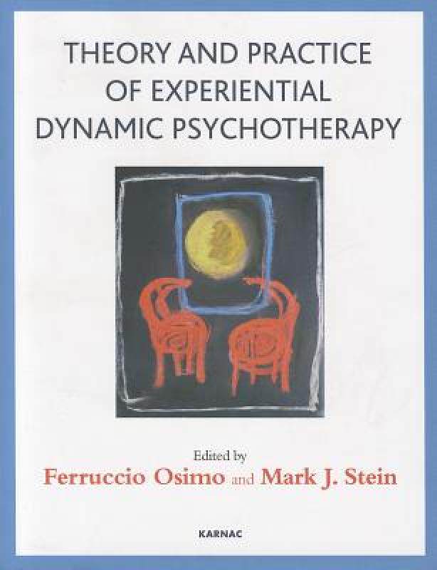 【预售】Theory and Practice of Experiential Dynamic