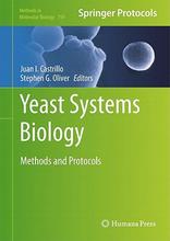 预售 Systems Biology and Protocols Methods Yeast