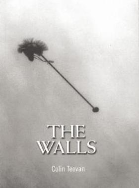 【预售】The Walls
