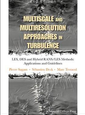 【预售】Multiscale and Multiresolution Approaches in
