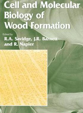 【预售】Cell and Molecular Biology of Wood Formation