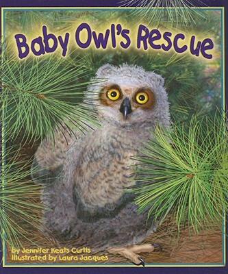 【预售】Baby Owl's Rescue