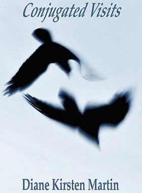 【预售】Conjugated Visits