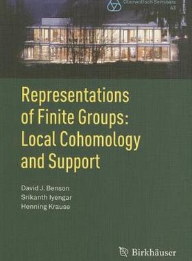【预售】Representations of Finite Groups: Local Cohomology