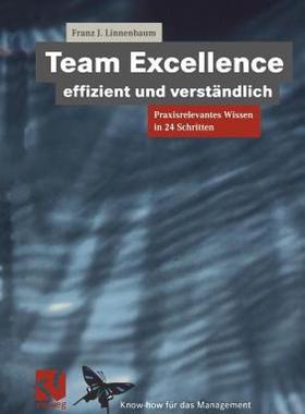 【预售】Team Excellence Effizient Und Verstandlich: