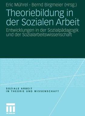 【预售】Theoriebildung in Der Sozialen Arbeit: Entwicklungen
