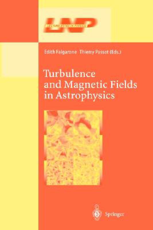 【预售】Turbulence and Magnetic Fields in Astrophysics