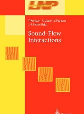 【预售】Sound-Flow Interactions
