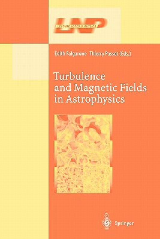 【预售】Turbulence and Magnetic Fields in Astrophysics