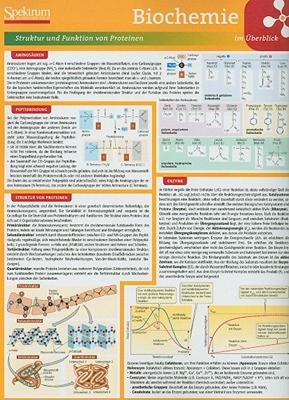 【预售】Biochemie Im Berblick
