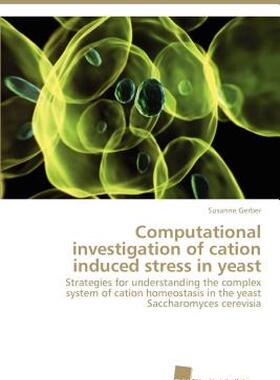 【预售】Computational Investigation of Cation Induced Stress