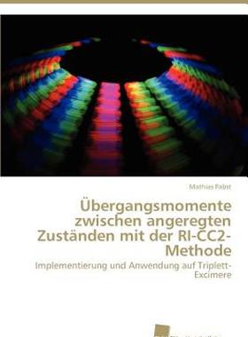 【预售】Bergangsmomente Zwischen Angeregten Zust Nden Mit