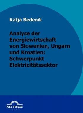 【预售】Analyse Der Energiewirtschaft Von Slowenien, Ungarn