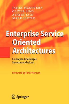 【预售】Enterprise Service Oriented Architectures: Concepts