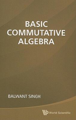 【预售】Basic Commutative Algebra
