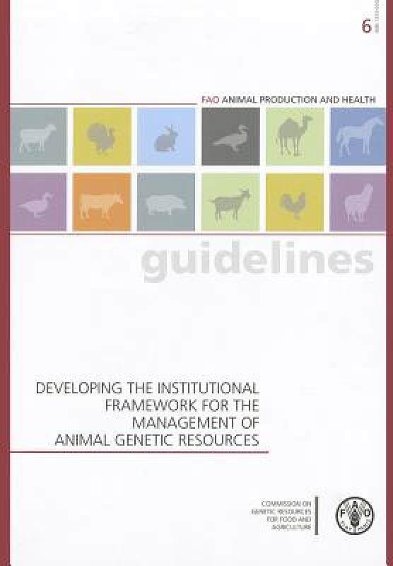 【预售】Developing the Institutional Framework for the