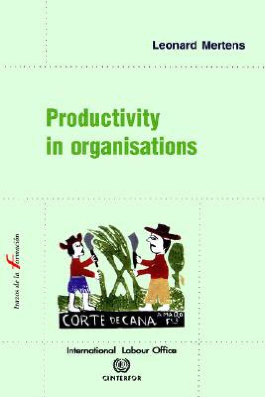 【预售】Productivity in Organisations
