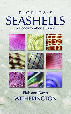 【预售】Florida's Seashells: A Beachcomber's Guide