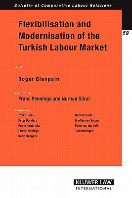 【预售】Flexibilisation and Modernisation of the Turkish