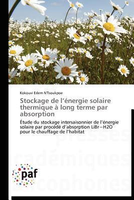 【预售】Stockage de L' Nergie Solaire Thermique Long Terme