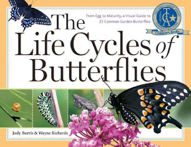 【预售】The Life Cycles of Butterflies: From Egg to