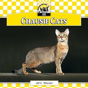 【预售】Chausie Cats
