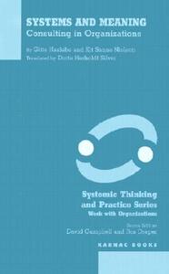 【预售】Systems and Meaning: Consulting in Organizations