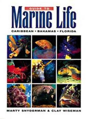 【预售】Guide to Marine Life: Caribbean-Bahamas-Florida
