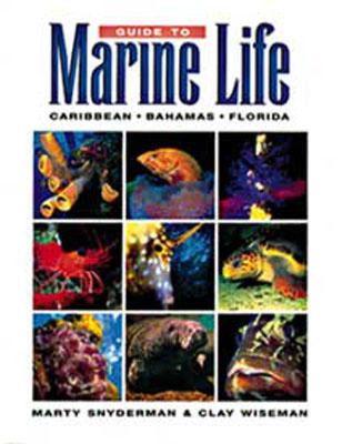 【预售】Guide to Marine Life: Caribbean-Bahamas-Florida