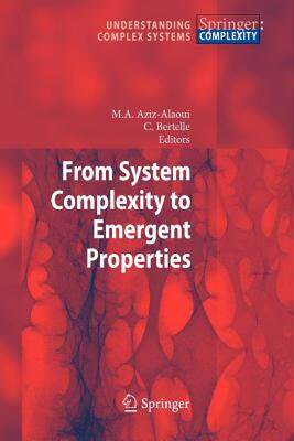 【预售】From System Complexity to Emergent Properties