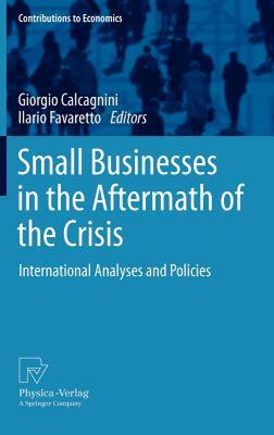 【预售】Small Businesses in the Aftermath of the Crisis: