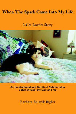 【预售】When the Spark Came Into My Life