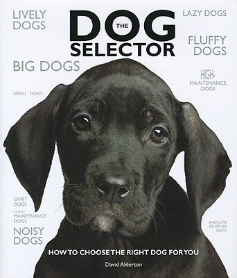 【预售】The Dog Selector: How to Choose the Right Dog for